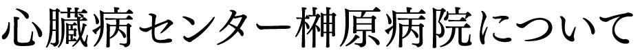 心臓病センター榊原病院について