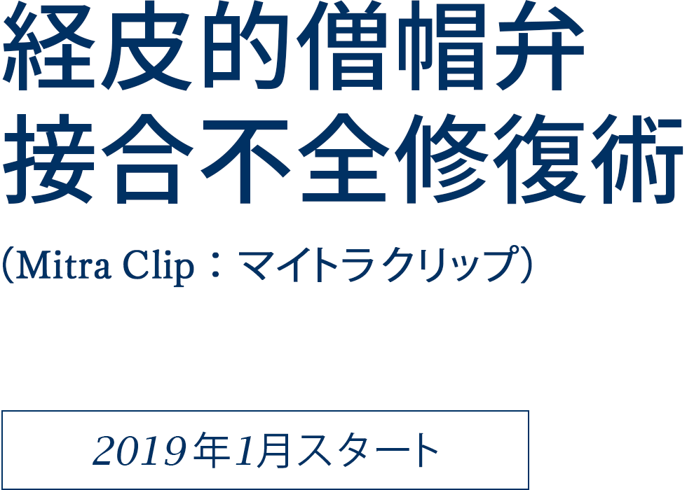 経皮的僧帽弁接合不全修復術（Mitra Clip：マイトラクリップ）